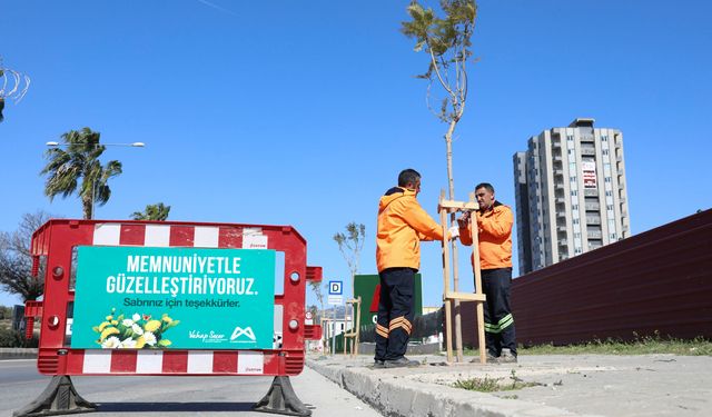 Mersin'de ağaçlandırma kampanyası