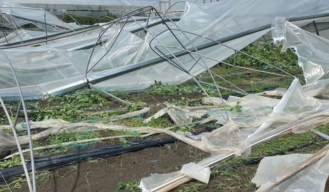 Mersin'de dolu ve fırtına seraları vurdu