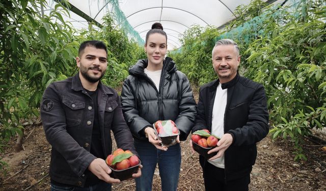 Mersin'de erkenci nektarin hasadı sürüyor; kilosu 500 TL'den alıcı buluyor
