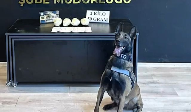 Narkotik köpeği Jardi, ocak ayının en başarılısı seçildi