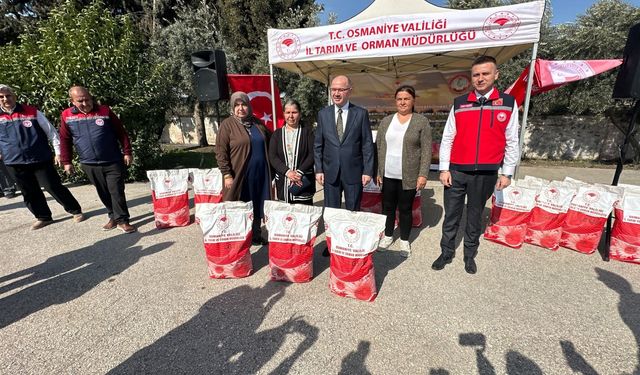 Osmaniye'de 631 çiftçiye ayçiçeği tohumu dağıtıldı