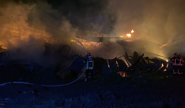 Osmaniye'de kağıt fabrikası yangını