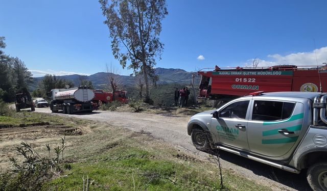 Osmaniye'de orman yangını (2)