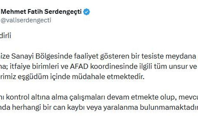 Osmaniye'de tavuk kesimhanesinde yangın (2)