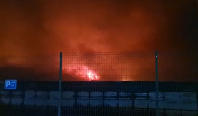 Osmaniye'de tavuk kesimhanesinde yangın