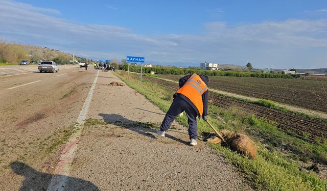 Otomobilin çarptığı sürüdeki 7 koyun telef oldu