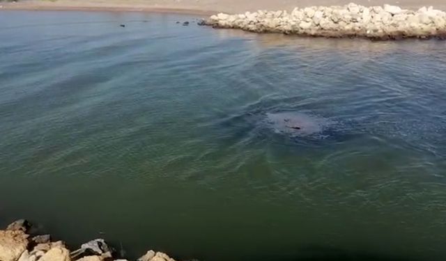 'Sahilkondu' ve barakalara yıkım süreci; lağımları nehri ve denizi kirletiyor