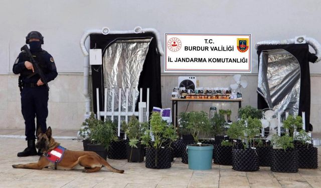 Uyuşturucu operasyonuna 1 tutuklama