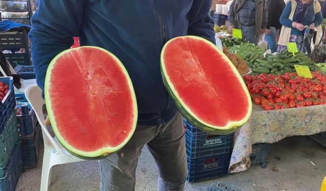Sezonun İlk Karpuzu Tezgahta: Dilim Dilim Satılıyor, Kilosu 50 TL