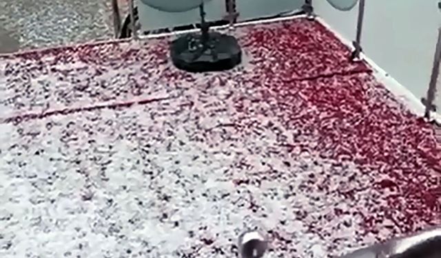 Adana'da sağanak ve dolu yağışı; cadde ve sokaklar beyaza büründü