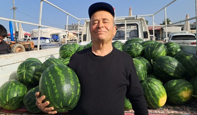 Antalya'da sezonun ilk erkenci karpuzu kilosu 40 liraya alıcı buldu