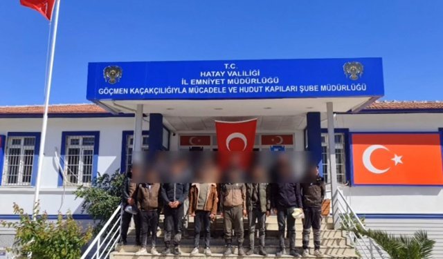 Hatay'da 14 kaçak göçmen yakalandı