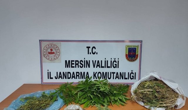 Mersin'de uyuşturucu operasyonu: 1 gözaltı