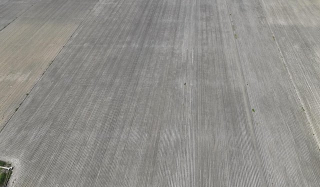 Tarım arazilerinde hasar tespit çalışmaları sürüyor