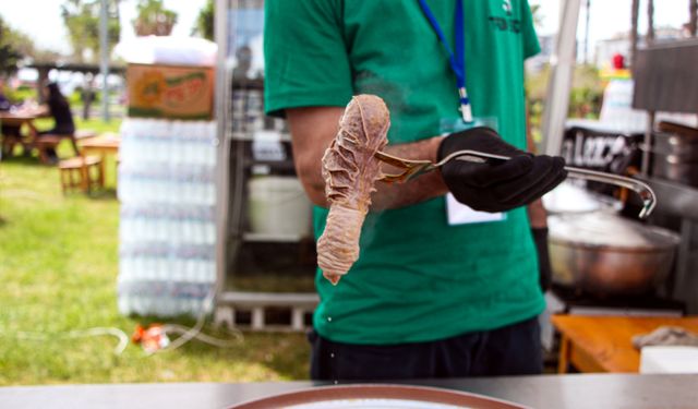 Uluslararası Portakal Çiçeği Karnavalı'nda rengarenk görüntüler/Ek fotoğraflar