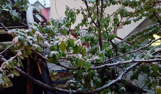 Ağlasun'da kar etkili oldu