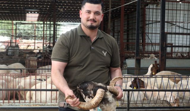 Antalya'da kurbanlık satışında hareketlilik