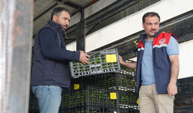 Bahçe'de 510 bin sebze fidesi çiftçilere dağıtıldı