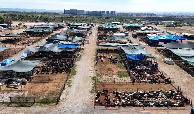 Başkan Yıldız: Toroslar'a yakışan kalıcı ve modern bir kurban satış alanı şart