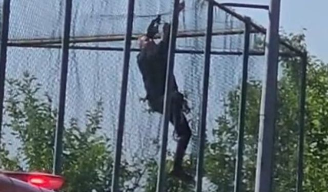 Fileye takılan kargayı itfaiye kurtardı