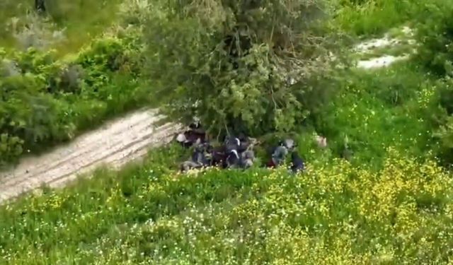 Hatay'da 42 düzensiz göçmen yakalandı