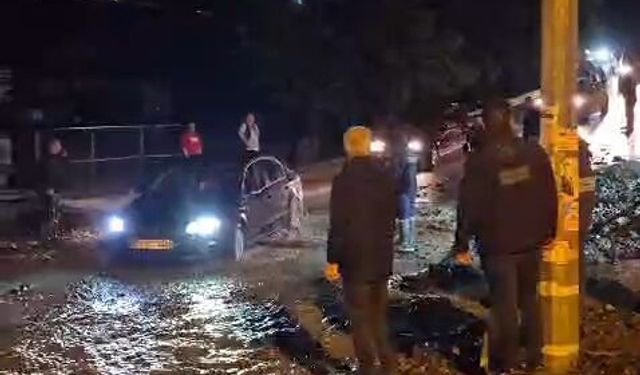 Hatay'da sağanak; hayvan pazarını su bastı