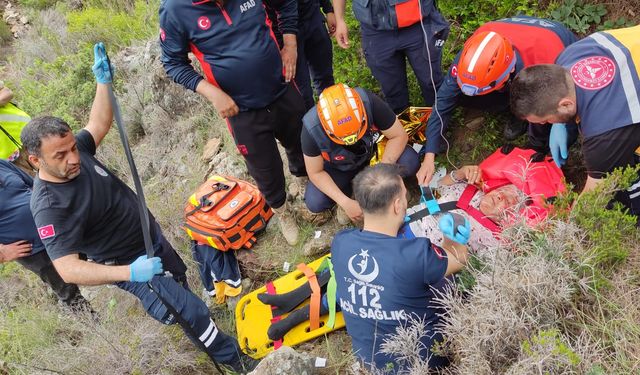 Kekik toplarken yüksekten düşen kadın kurtarıldı
