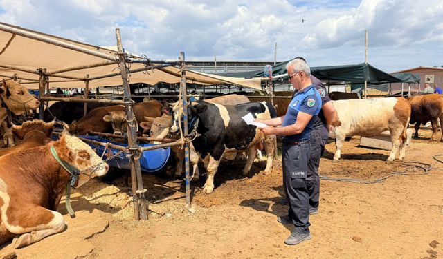 Kepez'in kurban pazarları hizmette