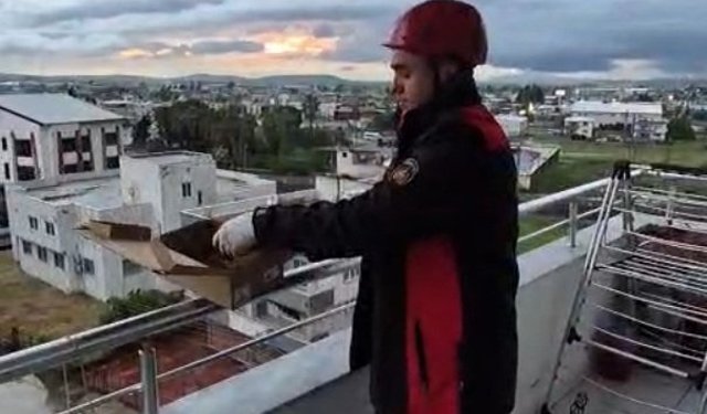Osmaniye'de aspiratör borusuna giren 3 kırlangıç kurtarıldı