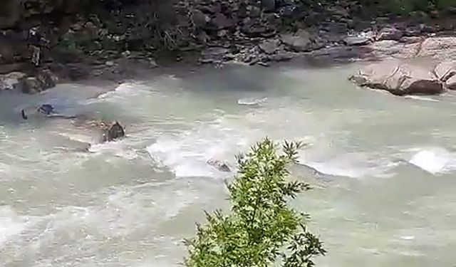 Serinlemek için girdiği çayda akıntıya kapılarak kayboldu