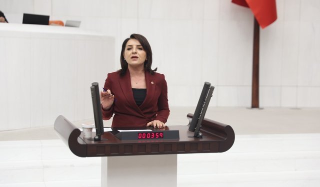 CHP’li Gülcan Kış’tan Ekonomi Çıkışı: “Tarlada İthalat, Cepte Borç Var”