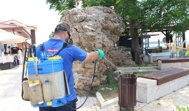 19 ilçede vektörle yoğun mücadele
