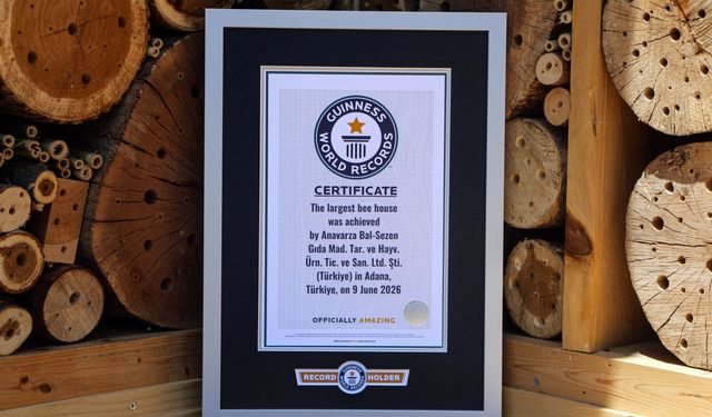 Adana'da hayata geçirilen 'arı oteli' dünyanın en büyüğü; Guinness tescil etti