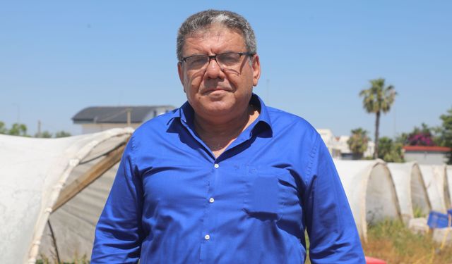 Antalya'da çilekte son hasat zamanı