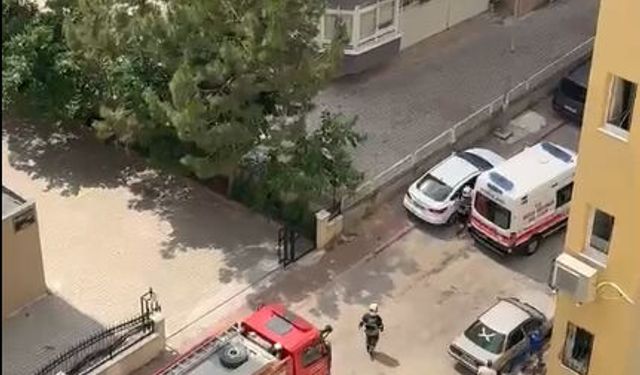 Apartman dairesindeki yangında mahsur kalan köpek kurtarıldı