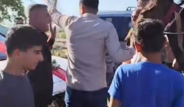 Atla düğün konvoyunun önünü kesip bahşiş aldılar