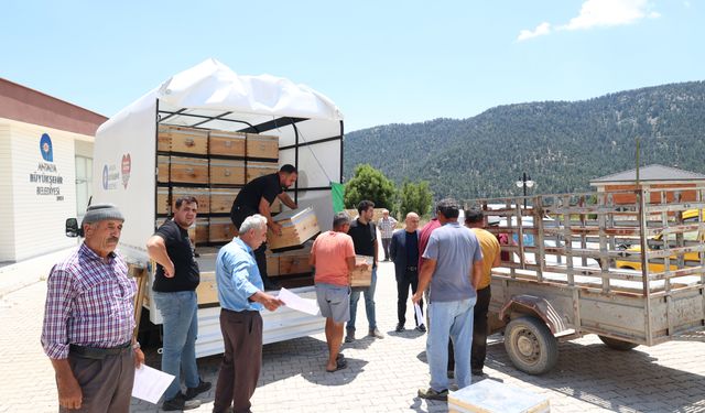 Büyükşehir'den Antalya'nın dört bir yanına arı kovanı desteği
