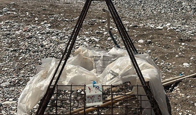Deniz kaplumbağası koruma demirinin ortasında ateş yaktılar; inceleme başlatıldı