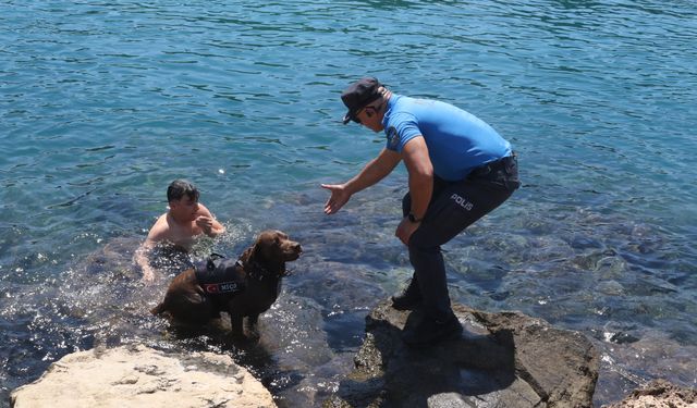 Deniz polisinin maskotu 'Miço'