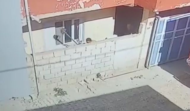 Evde yılan paniği