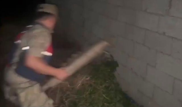 Hatay'da 148 kök Hint keneviri ele geçirildi