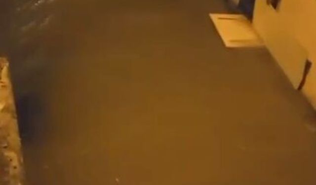İçme suyu borusu patladı; yol çöktü, ev ve iş yerlerini su bastı