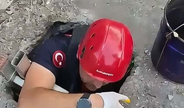 Kullanılmayan su kuyusuna düşen yavru kediyi itfaiye kurtardı