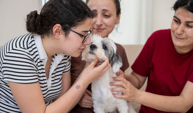 Mersin'de bin 927 can dost yeni yuvasına kavuştu