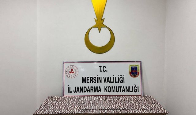 Mersin'de uyuşturucu operasyonu: 1 tutuklama