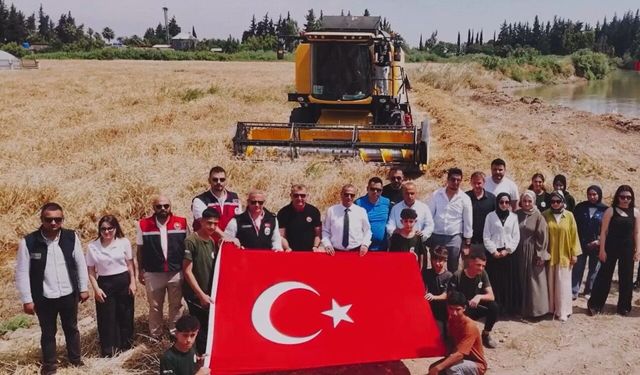 Öğrenciler buğday hasat etti
