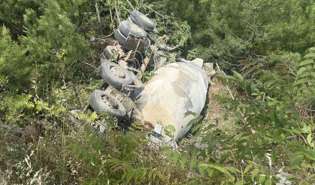 Ormana devrilen mikserin sürücüsü yaralandı