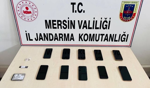 Sanal medya dolandırıcıları yakalandı