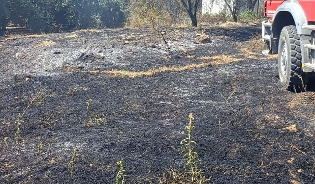 Silifke'de otluk alan yangını
