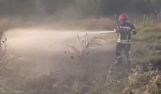 Tankerin lastiklerinden otluk alana sıçrayan yangın söndürüldü